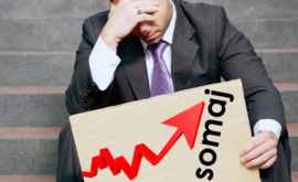Prognoze Numărul oficial al șomerilor se va tripla