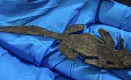 Oamenii de știință britanici au găsit un șoarece de jucărie din Roma antică