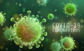 Полностью вылечившийся от коронавируса человек вновь не заболевает