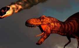 Studiu Asteroidul care a ucis dinozaurii a urmat cea mai periculoasă traiectorie posibilă