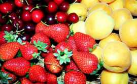 5 полезных для здоровья июньских фруктов и ягод