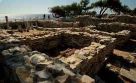 O podea de mozaic din perioada Imperiului Roman a fost descoperită sub o vie