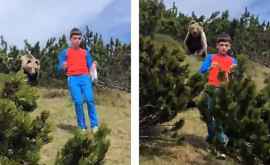 В Италии мальчик повстречал в лесу медведя и сумел уйти невредимым ВИДЕО