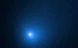 Появились новые данные о летящей через Солнечную систему комете Борисова