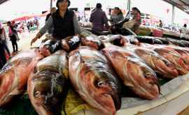  Вспышка COVID19 на рынке в Пекине произошла изза лосося