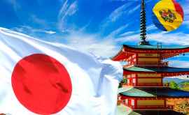 UPDATE Как добраться до Японии в условиях пандемии COVID19