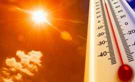 Primul val de căldură din acest an În Europa temperaturile depășesc 40 de grade Celsius