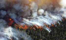 Ministerul Mediului a propus reducerea teritoriilor în care incendiile de pădure nu sînt stinse