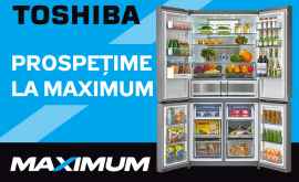 Maximum Холодильники TOSHIBA почувствуй истинную свежесть
