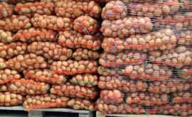 В Румынию возвращена 21 тонна картофеля ранее доставленного в Молдову