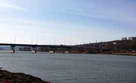 Обращение к правительству по поводу строительства моста через Днестр в Маловате
