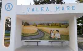 Станция ожидания в Валя Маре превращена в настоящее произведение искусства ФОТО