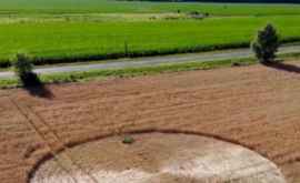 В Венгрии на пшеничном поле появился загадочный круг