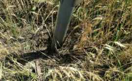 O rachetă antigrindină găsită întrun lan de grîu din Sîngerei