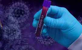 Expert Miami noul epicentru al pandemiei de coronavirus