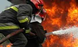 Incendiu la Bălți Arde un depozit de pe teritoriul fabricii de blănuri VIDEO