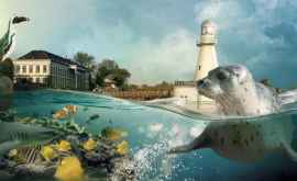 Grădina Zoologică din Belgia oferă camere cu vedere spre animale
