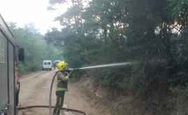 O pădure din Cahul cuprinsă de flăcări 40 de oameni au luptat cu focul