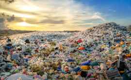 Pînă în 2040 în mediul înconjurător vor exista 13 miliarde de tone de plastic 