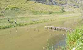 Rîul Răut eliberat de gardurile care distrugeau fluviul FOTO VIDEO