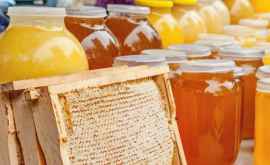 În acest an mierea va fi mai puţină şi mai scumpă