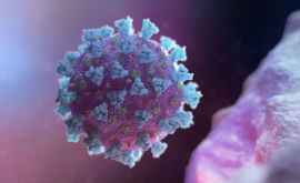 Studiu Imunitatea la COVID19 scade rapid la persoanele cu simptome uşoare 