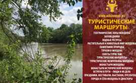 Откройте Молдову Циповское ущелье или долина семи водопадов