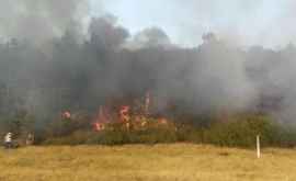 Incendiu puternic în apropiere de vama Leușeni FOTO