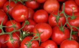 Tone de tomate care urmau să ajungă în pieţele din Moldova întoarse la Vama Leuşeni