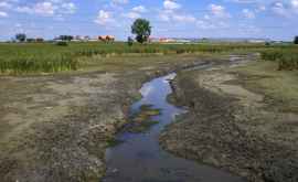 Реки и озера в Молдове засыхают прогнозы гидрологов не радуют