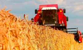 Молдова может запросить экстренный кредит для помощи фермерам