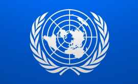 Comisar al ONU Pandemia nu este cec în alb pentru încălcarea drepturilor omului
