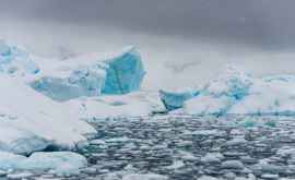 Ученые воссоздали таяние Антарктиды за последние 25 лет