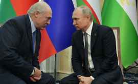 Песков объяснил частые звонки Лукашенко Путину
