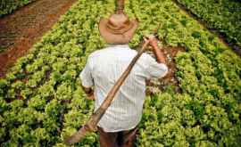 Президент аграриям Отставка правительства поставит под угрозу какуюлибо помощь фермерам