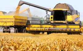 AIPA a autorizat spre plată primele cereri de acordare a compensației pentru fermieri