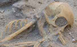 Arheologii au descoperit un mormînt cu maimuțe întrun cimitir de 2000 de ani din Egipt