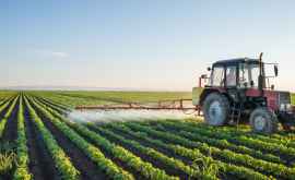 МВФ одобрил законопроект по поддержке сельхозпроизводителей