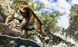 Pe craniul unui leneș antic de dimensiuni uriașe au fost descoperite urme de luptă cu un crocodil