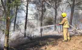Молдова в огне Сколько гектаров земли были охвачены пожарами