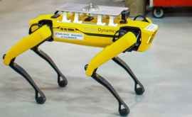 Uzinele Ford au angajat primii roboţi cu patru picioare