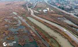Catastrofa ecologică din Strășeni Autoritățile bat pasul pe loc
