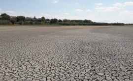 Засуха не отступает оранжевый код продлен до конца сентября