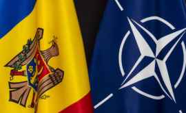 Мнение Может ли нейтральный статус исключить сотрудничество с НАТО