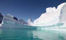 Исследование Изза одного градуса потепления Антарктида поднимет моря на метры 