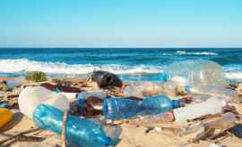Ученые На дне океанов находятся миллионы тонн пластика