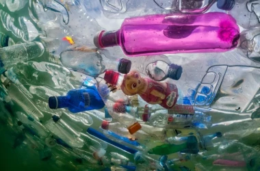 Peste 70 de mari companii cer un pact global pentru combaterea poluării cu plastic