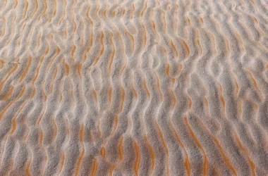 Редкое явление в пустыне Сахара: песчаные дюны покрыты снегом