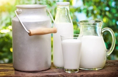 Сырое молоко может быть опасно для здоровья