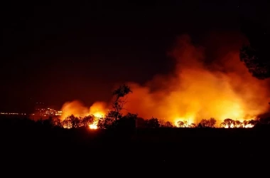O cantitate record de pădure a ars din cauza căldurii anormale în Europa în acest an
